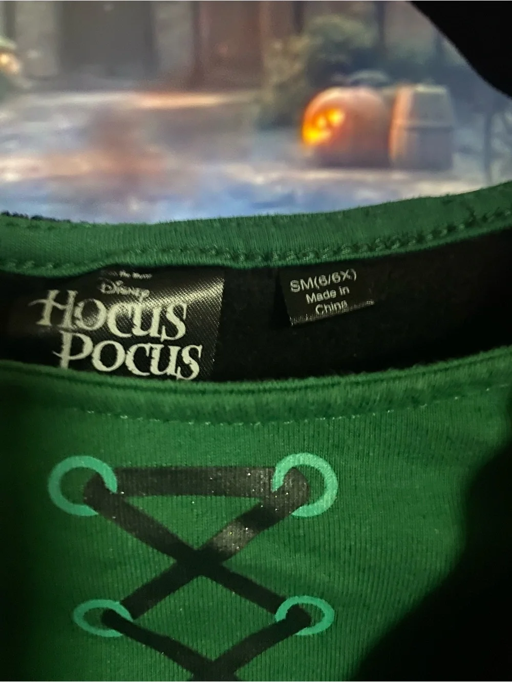 Disney’s Hocus-Pocus 6/6x Halloween Costume
